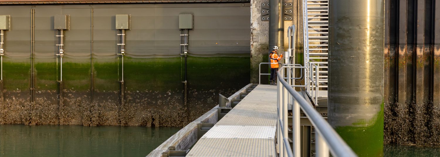 Sluis Hansweert Istimewa Elektro 2025 (4)